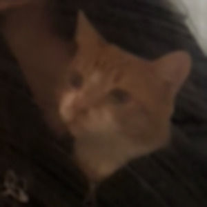 Meet your Posher, Meeppeice